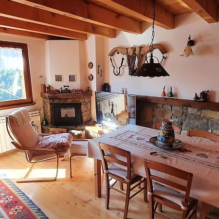Residenza Sofia - Ponte Di Legno Fraz. Pezzo 빌라 외부 사진